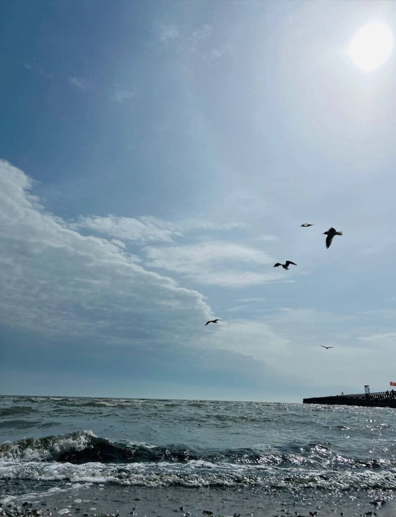 Жителі Маріуполя показали, як виглядає весняне море