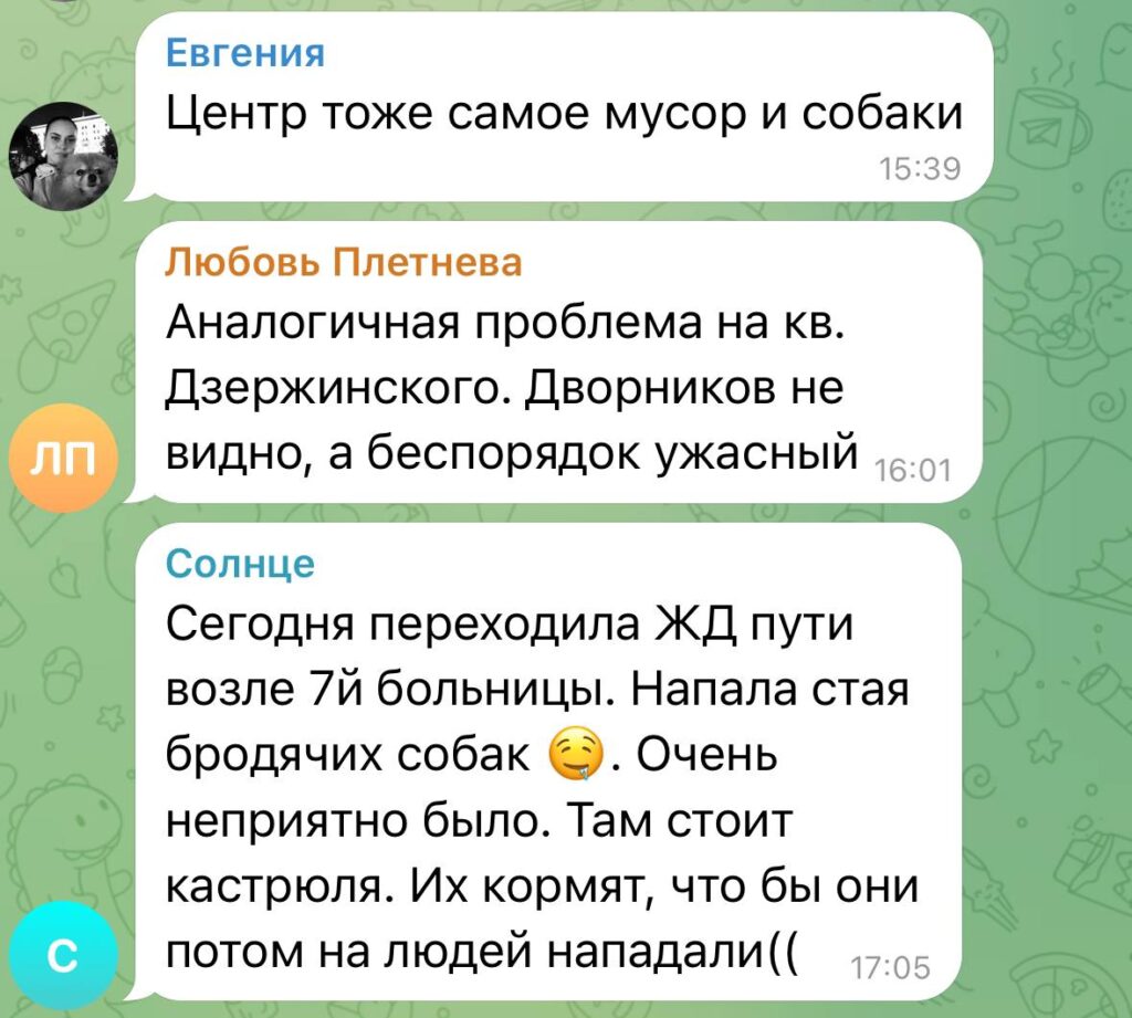 Сміттєвий колапс у Луганську: жителі скаржаться на сміттєзвалища, сморід та зграї бродячих собак