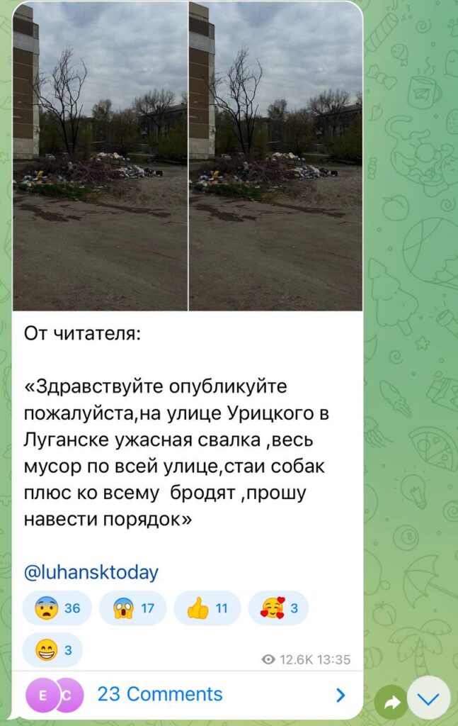 Сміттєвий колапс у Луганську: жителі скаржаться на сміттєзвалища, сморід та зграї бродячих собак