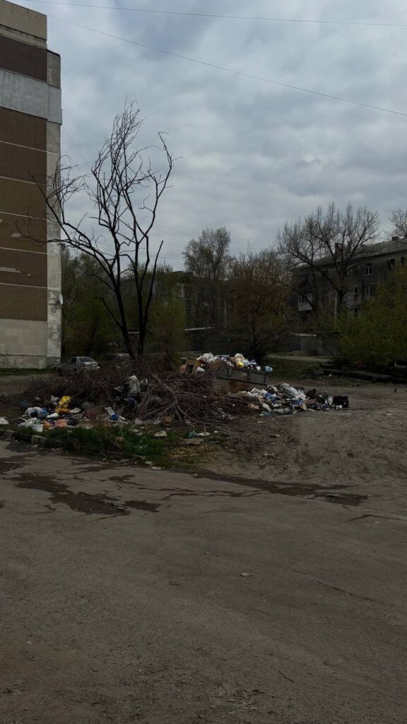 Сміттєвий колапс у Луганську: жителі скаржаться на сміттєзвалища, сморід та зграї бродячих собак