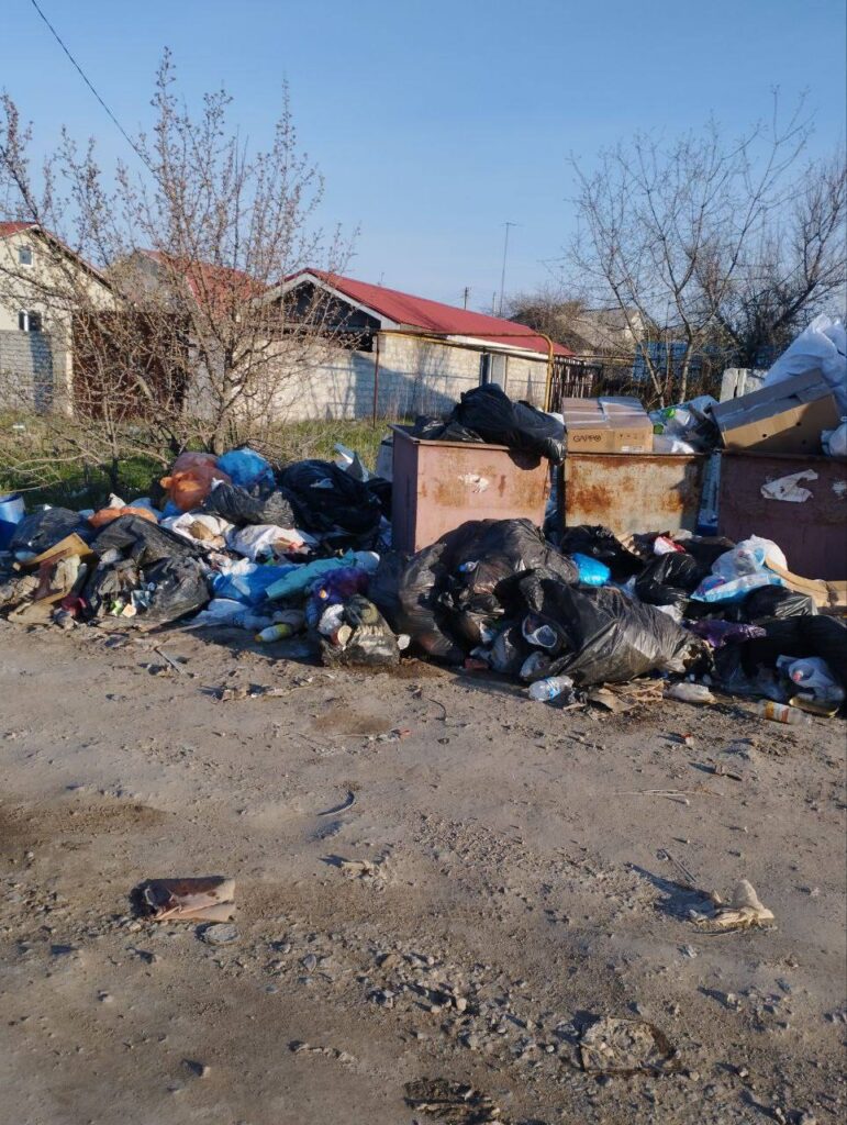 Сміттєвий колапс у Луганську: жителі скаржаться на сміттєзвалища, сморід та зграї бродячих собак