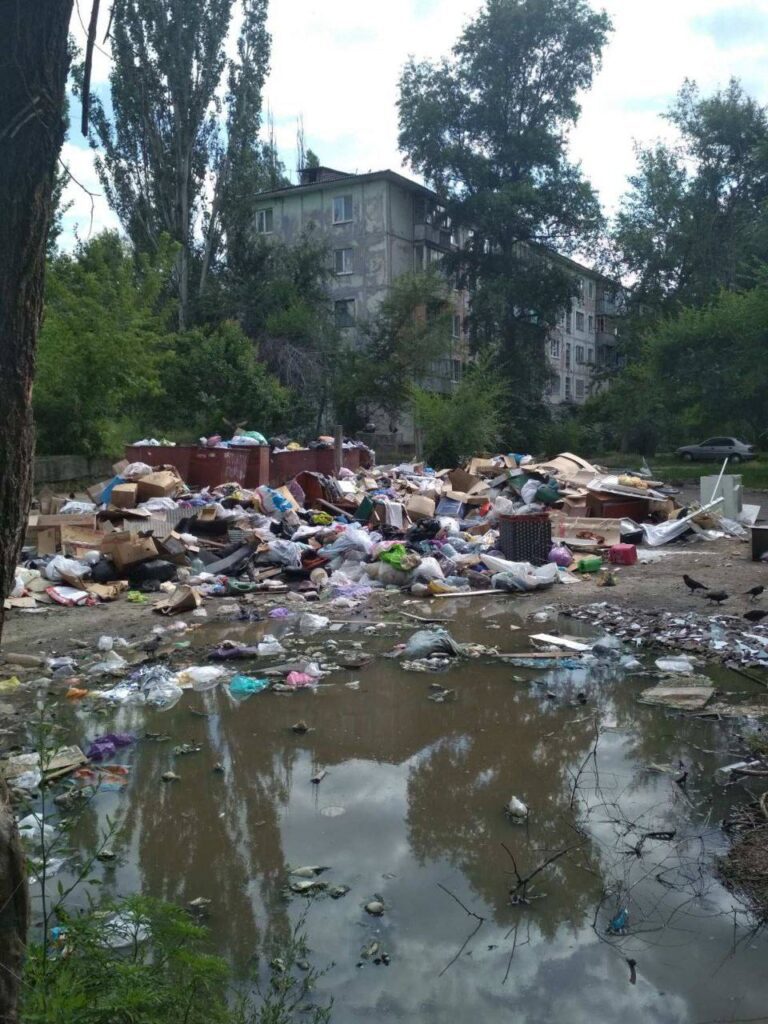 Сміттєвий колапс у Луганську: жителі скаржаться на сміттєзвалища, сморід та зграї бродячих собак