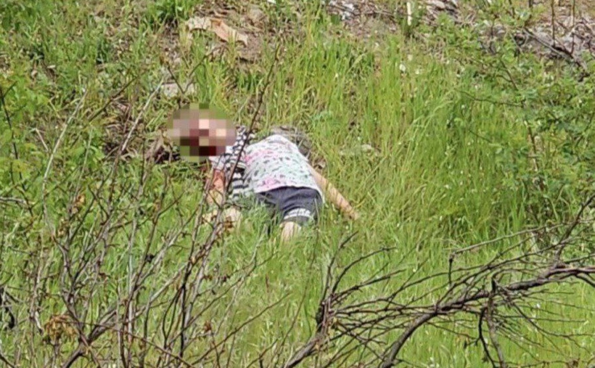 В окупованому Бердянську знайшли мертвою 7-річну дівчинку. Окупанти стверджують, що її забила молотком 14-річна підлітка
