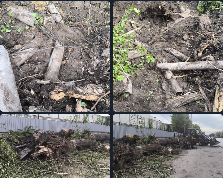 На окупованій Луганщині сталися відключення світла через пориви вітру