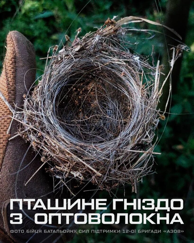 На Донеччині знайшли пташине гніздо, звите з трави та оптоволокна
