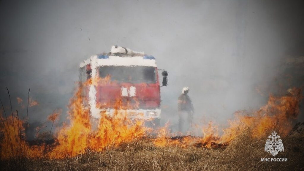 Понад 70 пожеж сталось на окупованій Луганщині: горіли поля та будівлі. Опубліковані фото