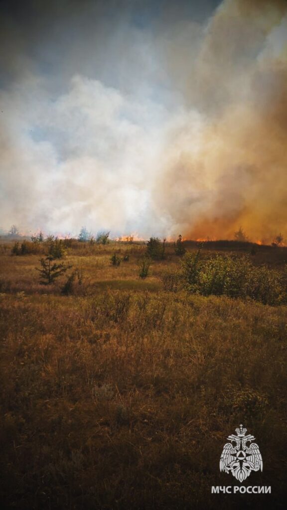 Понад 70 пожеж сталось на окупованій Луганщині: горіли поля та будівлі. Опубліковані фото
