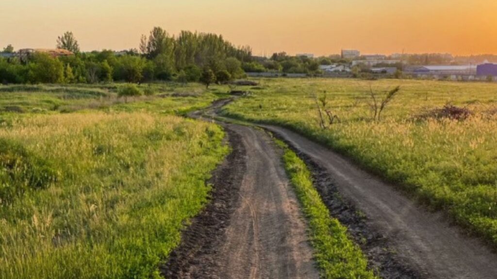 У пам’яті ковила та абрикоси: як дівчина з Луганська знайшла свою українську ідентичність у Берліні