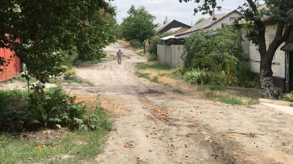 У пам’яті ковила та абрикоси: як дівчина з Луганська знайшла свою українську ідентичність у Берліні