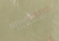 У водосховищі на окупованій Луганщині виявили медуз. Опубліковано відео