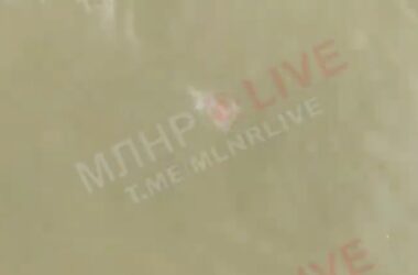 У водосховищі на окупованій Луганщині виявили медуз. Опубліковано відео