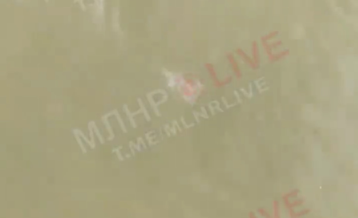 У водосховищі на окупованій Луганщині виявили медуз. Опубліковано відео