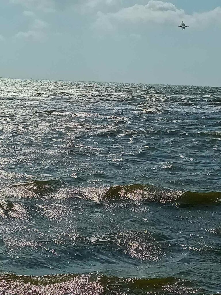 Місцеві жителі показали, як виглядає море в курортній Юр’ївці під Маріуполем
