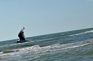 Місцеві жителі показали, як виглядає море в курортній Юр&#8217;ївці під Маріуполем