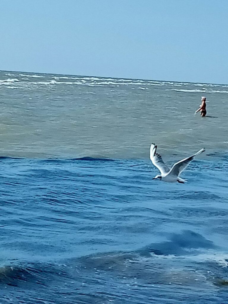 Місцеві жителі показали, як виглядає море в курортній Юр’ївці під Маріуполем
