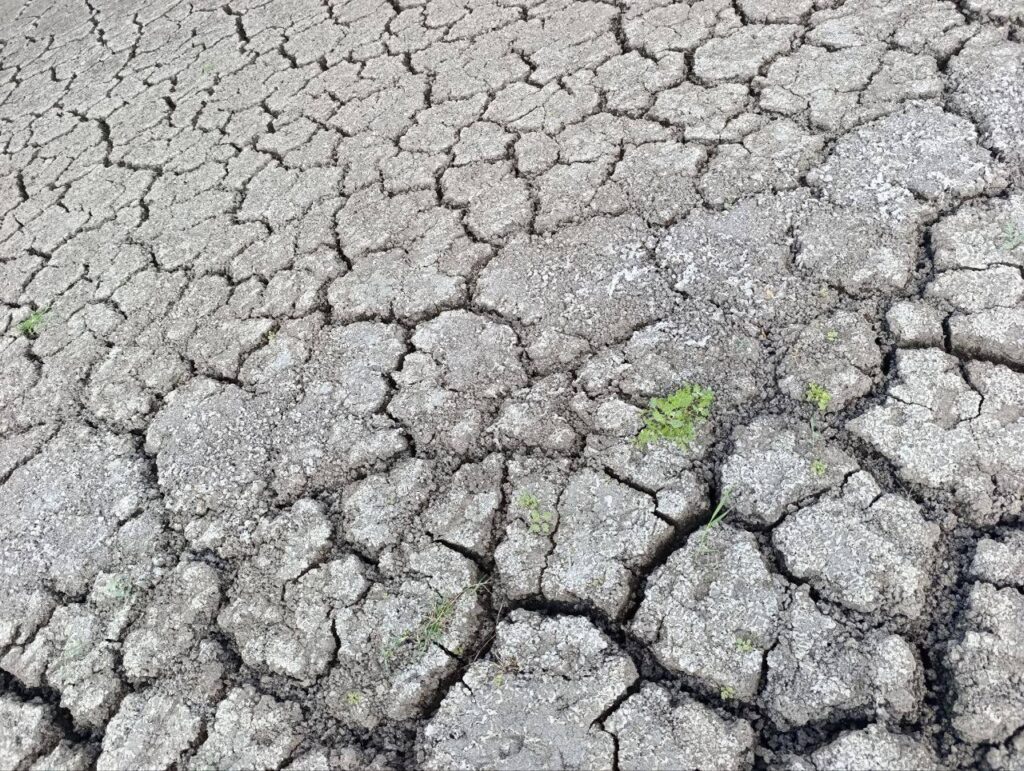Від водосховища залишилася вузька смуга води: місцеві показали, у якому стані Старокримське водосховище у Маріуполі
