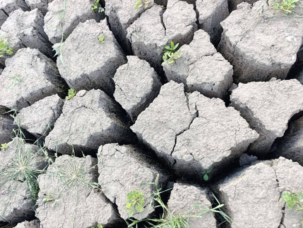 Від водосховища залишилася вузька смуга води: місцеві показали, у якому стані Старокримське водосховище у Маріуполі