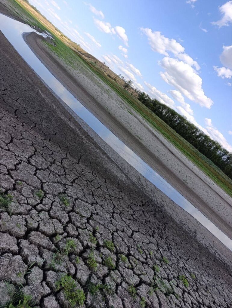 Від водосховища залишилася вузька смуга води: місцеві показали, у якому стані Старокримське водосховище у Маріуполі