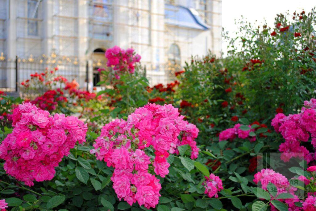 Луганськ, який ми любили і проклинали: старі фото міста до його 230-річчя