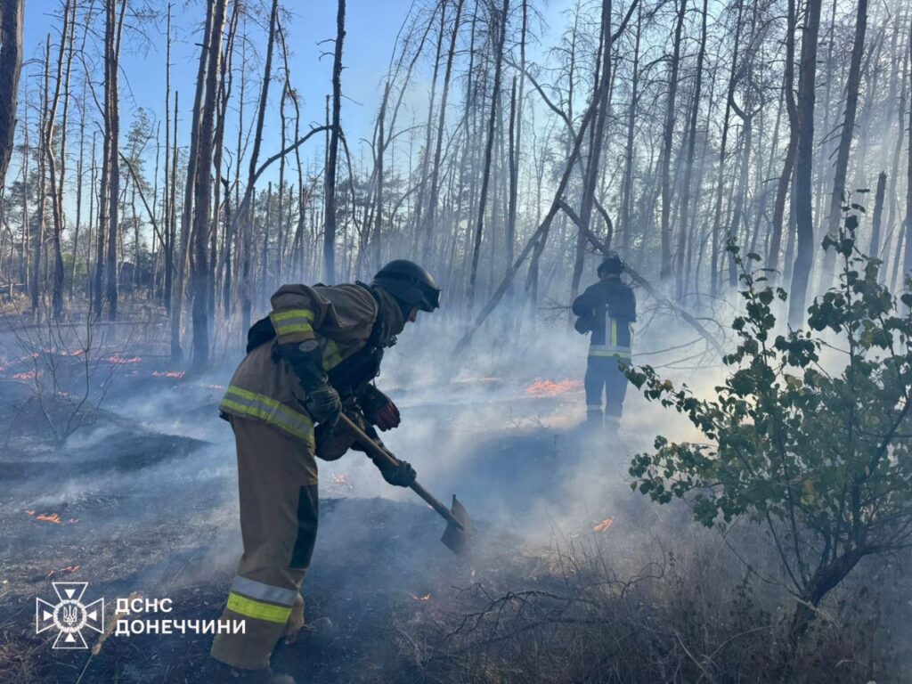 Рятувальники показали, як вогонь знищує сосновий ліс на Донеччині.