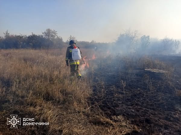 Рятувальники показали, як вогонь знищує сосновий ліс на Донеччині.