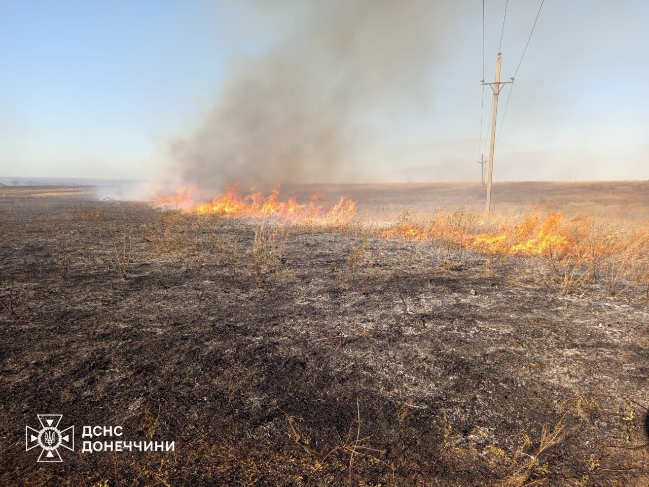 Рятувальники показали, як вогонь знищує сосновий ліс на Донеччині.