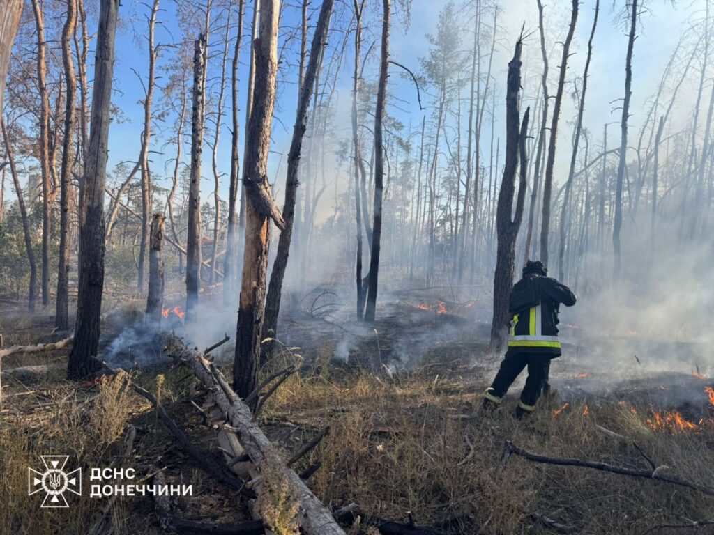 Рятувальники показали, як вогонь знищує сосновий ліс на Донеччині.