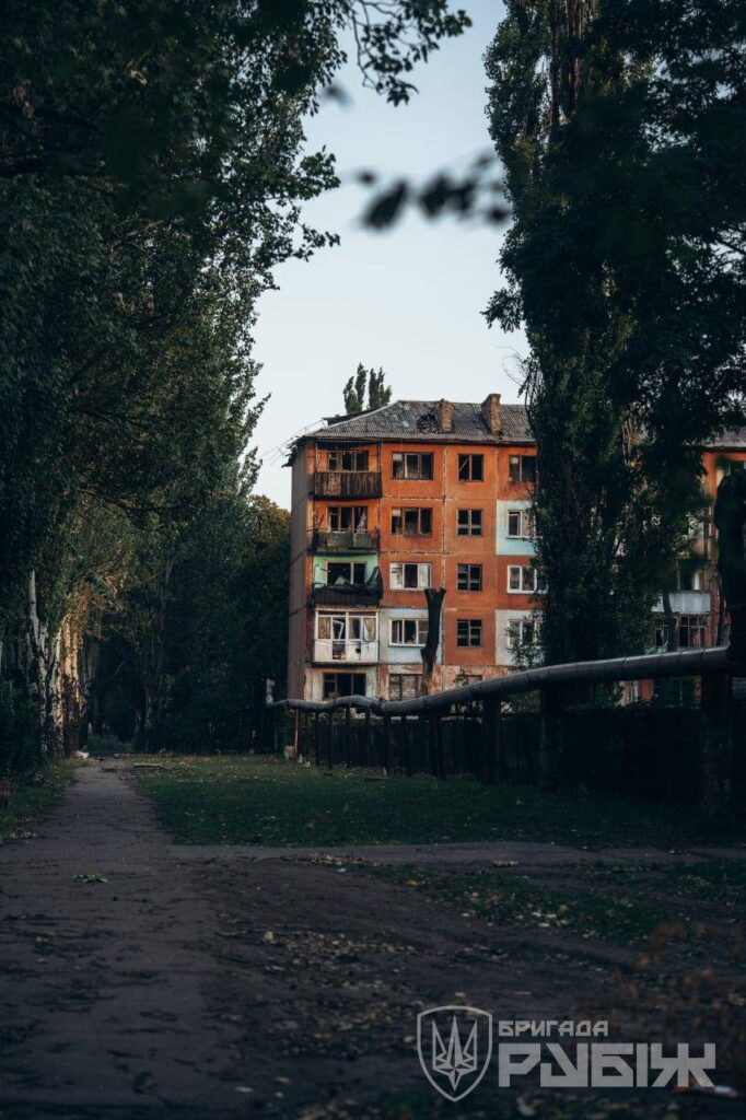 Військові показали, як виглядає зруйновне Білозерське в Донецькій області