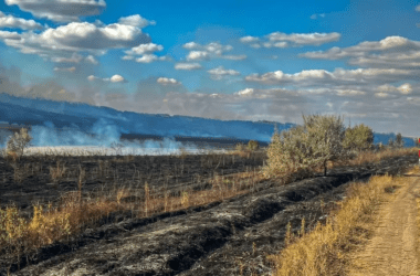 Бойові дії на Луганщині вже призвели до збитків у понад 770 млрд грн