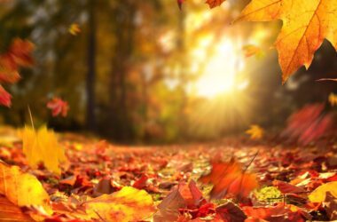 У Луганськ повернеться “бабине літо”: температура підійметься до +22 градусів