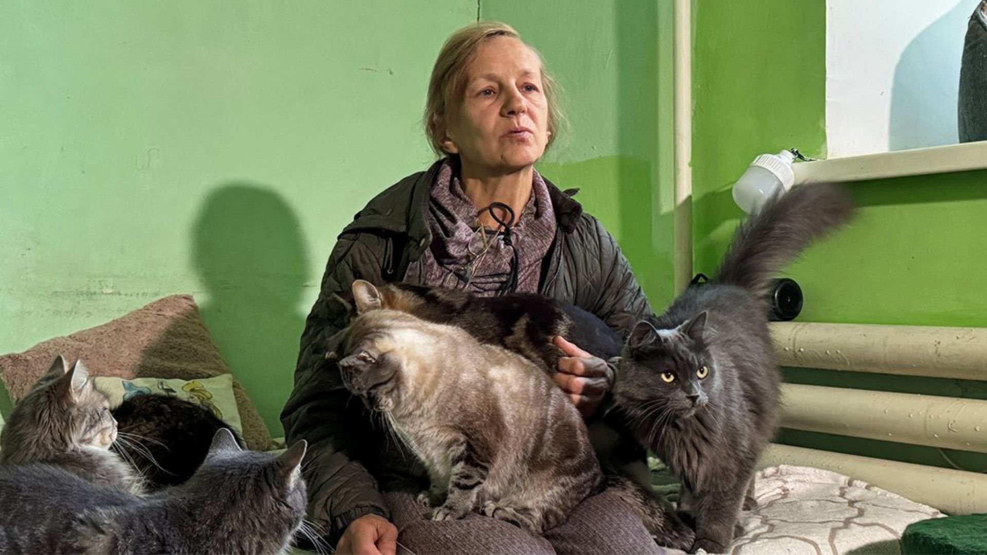 Жінка з Добропілля евакуювала понад сотню котів і собак