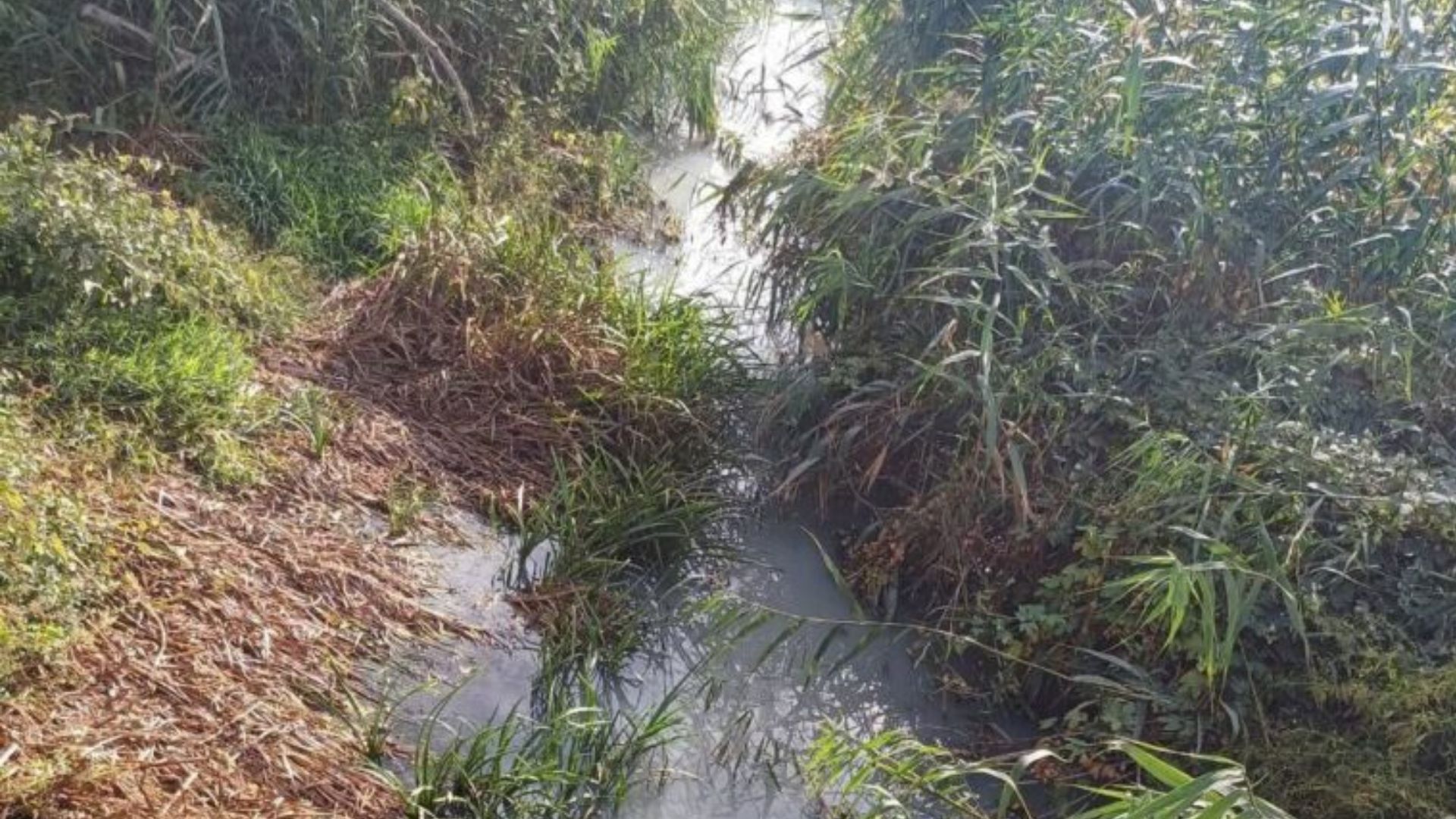 В окупованому Луганську стоки каналізації пустили в річку Вільхівку