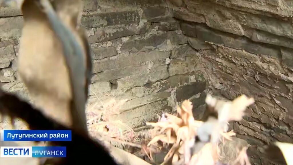 Під дорогою в Кам’янці на окупованій Луганщині виявили старовинний склеп