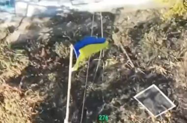Українські військові зачистили населений пункт у Дніпропетровській області. Опубліковано відео