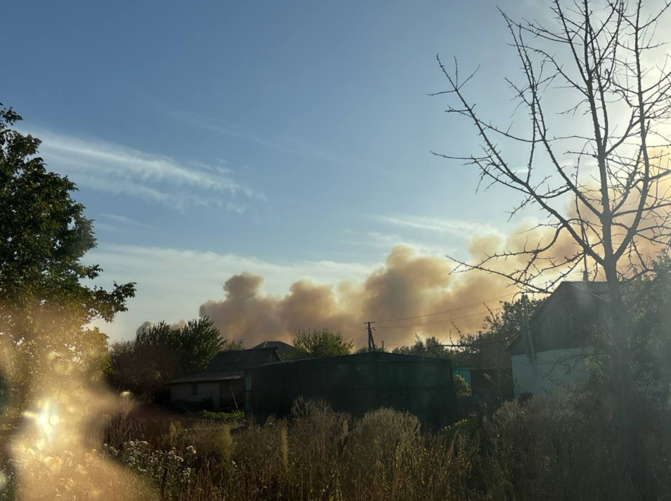 Дим накрив місто: поблизу Старобільська вирують лісові пожежі. Опубліковані кадри