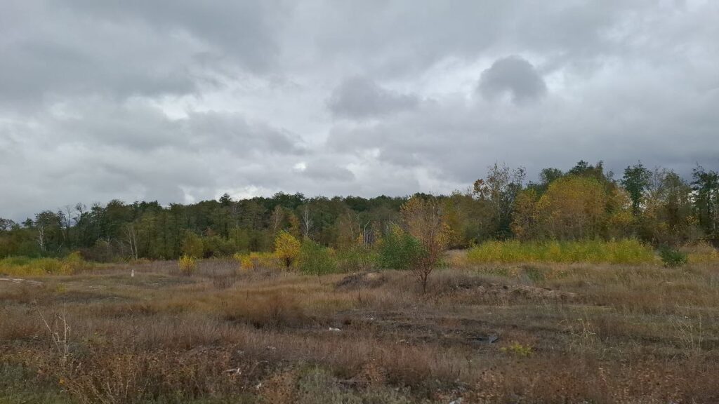 Який має вигляд село Метьолкіне біля окупованого Сєвєродонецька