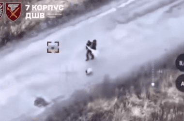 На Харківщині росіяни вбили дронами двох цивільних з собакою, які рухалися дорогою під білим прапором