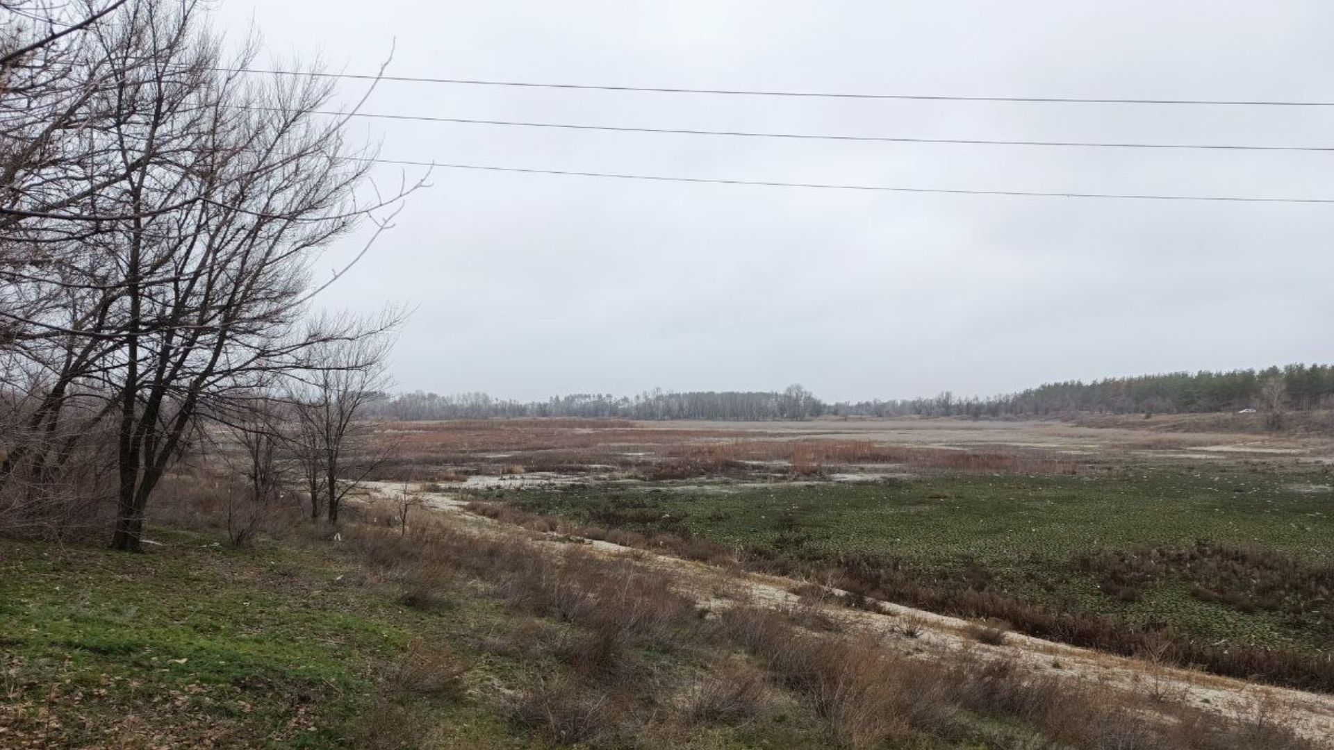 Нові фото з окупованого Сєвєродонецька показали повне зникнення озера Чисте