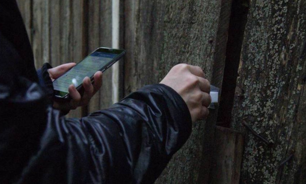 Найбільше в Алчевську. На окупованій Луганщині за рік в 4 рази збільшилася кількість наркозлочинів