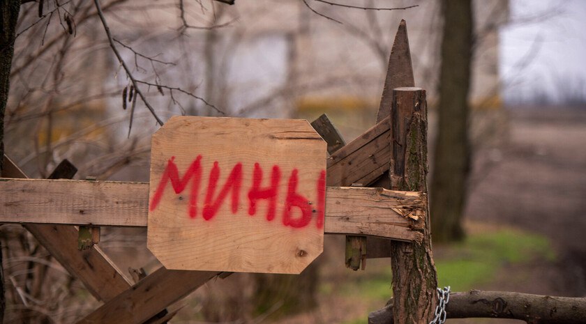 Заповідні кремінські ліси залишаються замінованими: окупаційна влада не планує їх розміновувати