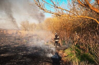Окупанти заявили, що міни не дозволяють ефективно гасити пожежі в лісах під Сіверськодонецьком