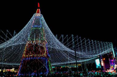 Цьогоріч на новорічні прикраси у Луганську витратять майже 170 тисяч доларів