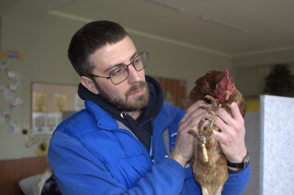 “Дві доби ділив сухарі з куркою”: на Донеччині 89-річний дідусь евакуювався з пернатою подругою