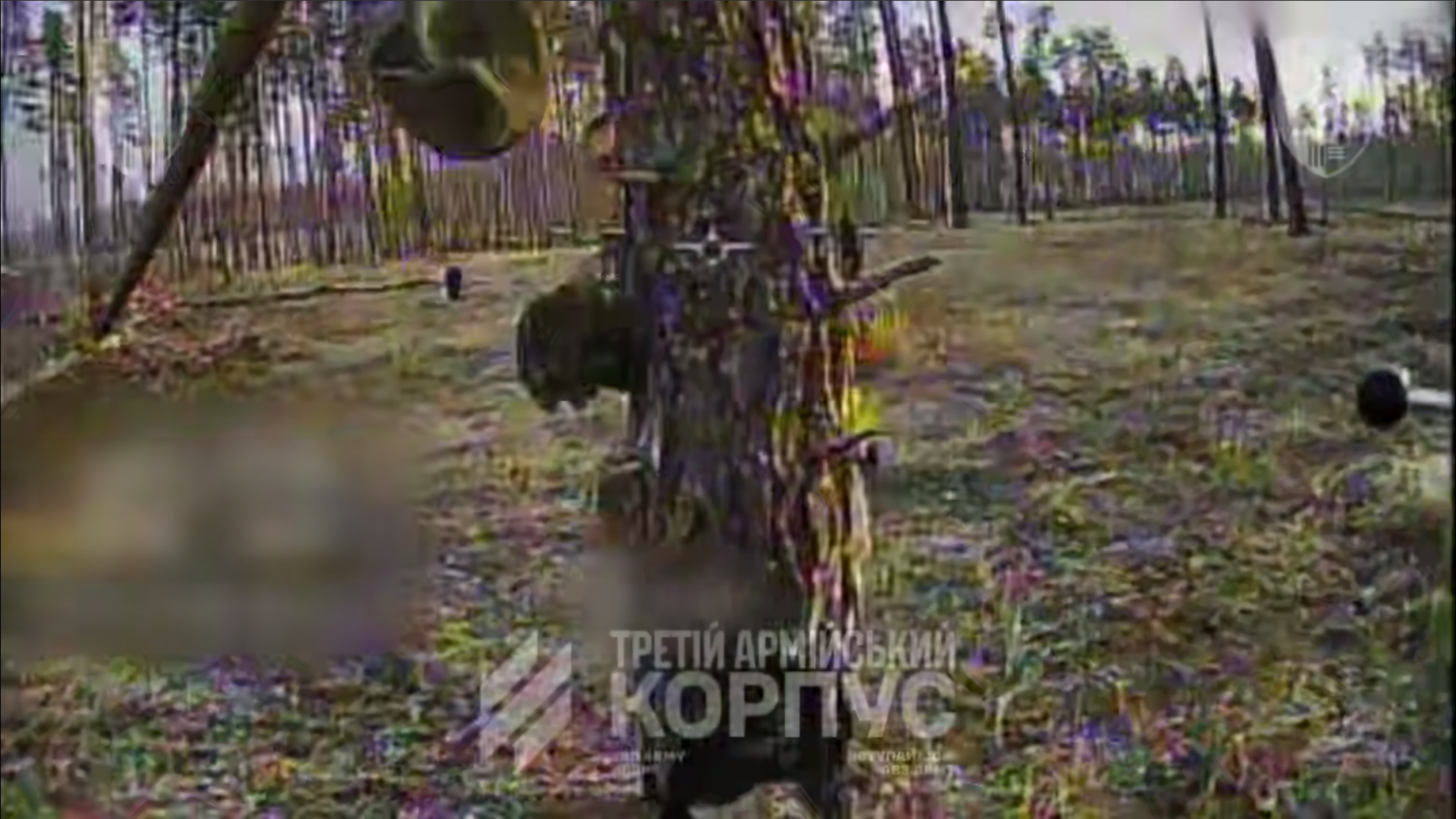 У Серебрянському лісі ліквідували окупанта, який намагався збити дрон