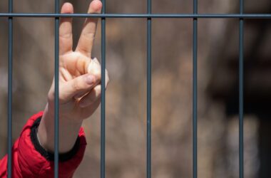 12 українських сиріт вивезли до Самарської області: окупанти прикривають депортацію «усиновленням»