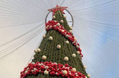 В окупованому Луганську засвітили “головну” ялинку