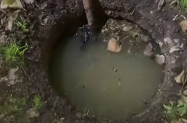 В одному з будинків у Луганську стоїть сморід з каналізації: з кранів течуть стічні води