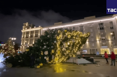 У центрі Мосвки через вітер впала ялинка