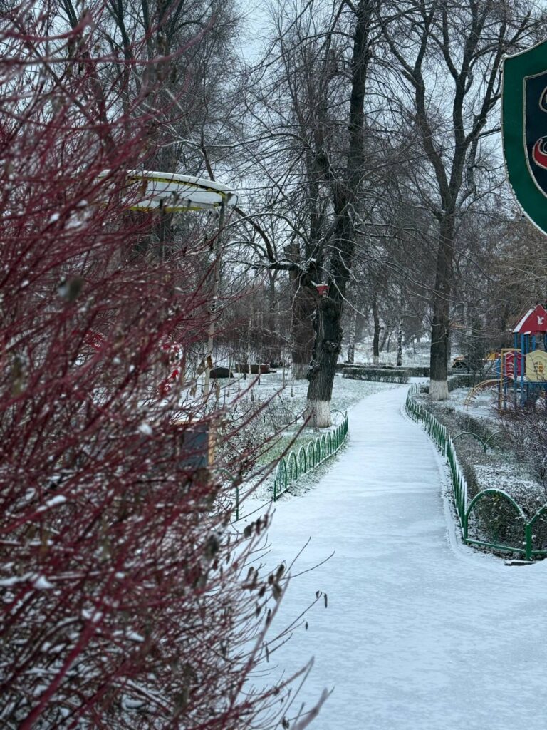 У Луганську випав сніг. Місцеві показали, як зараз виглядають вулиці міста
