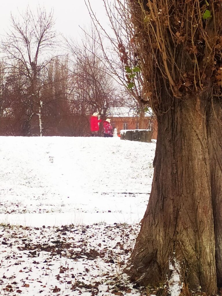 У Луганську випав сніг. Місцеві показали, як зараз виглядають вулиці міста
